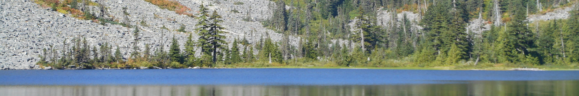 mountain lake & trees picture